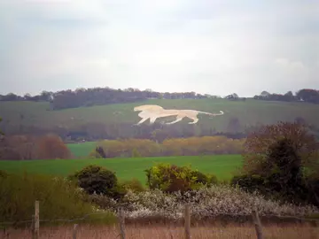 Nine Zoonormous facts about Whipsnade Zoo and our animals